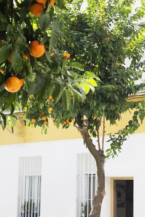 Appartement Costasol Cordoue